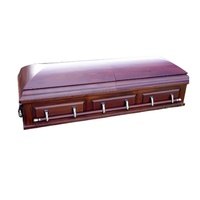 El proveedor funerario profesional proporciona ataúdes/ataúdes de madera maciza/metal europeos americanos personalizados para adultos