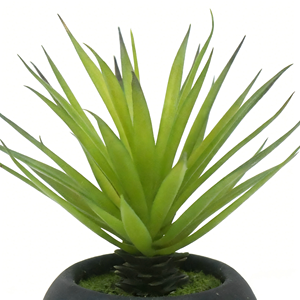 Plante succulente verte artificielle avec pot en papier mâché noir, <span class=keywords><strong>herbe</strong></span> de sabre verte artificielle en pot pour la décoration de la maison - Product Image 4