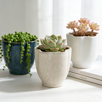 Mini pots de fleurs modernes de style coréen en céramique émaillée pour plantes succulentes, pour la maison, les centres commerciaux et les jardins