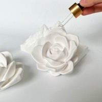 Diffuseur de parfum solide écologique de haute qualité, pierre de plâtre aromathérapeutique en forme de fleur