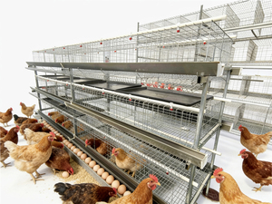 Nouvelle cage à poulets verticale à 3 niveaux et 4 portes, capacité 96 poulets, équipement d'élevage avicole commercial automatique et économique de haute qualité - Product Image 1