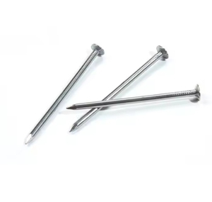 Nhà Máy Bán Buôn Cao End 1 "-6" Gỗ Móng Tay Với Tùy Chỉnh Colour Phổ Thông Dây Móng Tay Phổ Thông Móng Tay - Product Image 5