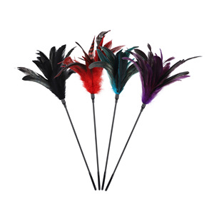 Látigo de plumas divertido, negro, largo, para coqueteo, herramienta de estimulación para adultos, para parejas - Product Image 5