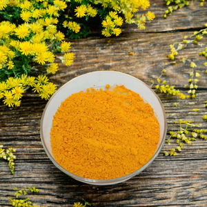 Cung cấp nhà máy bột nghệ nghệ chiết xuất 95% hữu cơ nghệ gốc chiết xuất bột Curcumin - Product Image 2