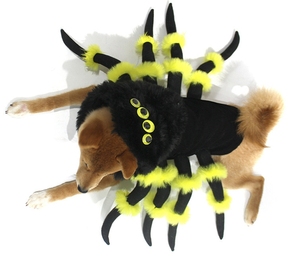 2024 nouveaux vêtements de noël pour <span class=keywords><strong>chien</strong></span> animal de compagnie <span class=keywords><strong>araignée</strong></span> Transformation Costume Cosplay <span class=keywords><strong>chien</strong></span> Halloween drôle <span class=keywords><strong>chien</strong></span> vêtements Costumes - Product Image 3