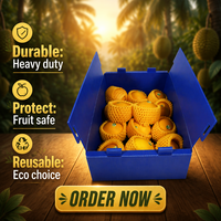 Boîte de stockage réfrigérée en plastique alvéolaire PP de 5 mm, 600x400x300 mm, pour fruits, vente en gros, OEM/ODM disponible