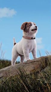 กล้องกีฬาขนาดเล็กพกพา 2K F2 Thumb Sports Camera Pocket Sports Cam หน้าจอ 1.47 นิ้ว มุมกว้าง 120 องศา กล้องบันทึกวิดีโอขนาดเล็ก ชุดกล้องกีฬาพกพา รุ่น SP01 - Product Image 5