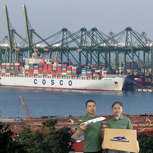 Agen Pengiriman Kargo Massal Tarif Pengiriman Internasional Agen Pengiriman Laut Cepat ke Belanda - Product Image 6