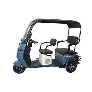 Electric 650 Watts Commander Factory Custom Wholesale High Quality Large Stock Freight Electric Tricycles Adult Electric Tricycle