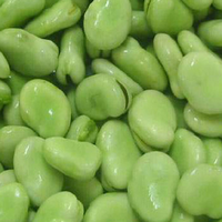 Haricots verts surgelés IQF en gros d'usine, de haute qualité, provenant de Chine, 25 kg, coupés en tranches