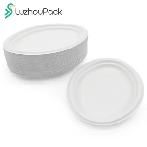 LuzhouPack 10 pouces robuste étanche recyclé canne à sucre bagasse papier Pizza assiette ovale jetable