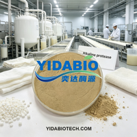 YIDA Biotech Enzyme Protéase Alcaline de Qualité Industrielle Préparation d'Enzyme Protéase Alcaline Protéase Alcaline Industrielle