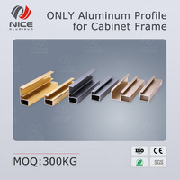 Profilé de cadre en alliage d'aluminium 6063 mince de 20 mm 45 mm pour armoires de cuisine, norme européenne certifiée ISO 9001