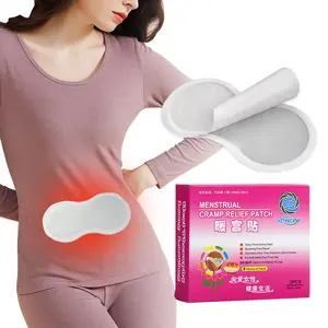 Oem Service Ce Goedgekeurde Fabrikant Menstruele Kramp Reliëf Warmer Warmte Patch