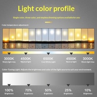 Miroir de salle de bain de forme irrégulière, rétroéclairé par LED, intelligent, mural, anti-buée, sans cadre, ondulé, décoratif