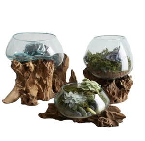 DIY Transparent Glass Floor Vase with Flower and Driftwood Elegant DIY Terrarium Style Crystal Vase