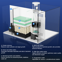 Aquarium de bureau avec filtre arrière intégré, nano-aquarium en verre pour chambre à coucher, salon, poissons-clown, eau salée