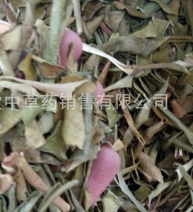 Feuilles d'aloès séchées de haute qualité nouvelles tiges d'<span class=keywords><strong>aloe</strong></span> <span class=keywords><strong>vera</strong></span> naturelles tranchées pour le thé - Product Image 4
