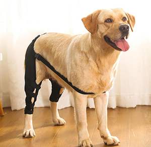 Attelle de jambe pour chien, protection, attelle, blessure de la ligament croisé transversal, restauration, attelle de genou réglable pour chien, support pour la patte arrière, coussin de soutien pour la jambe du chien - Product Image 3