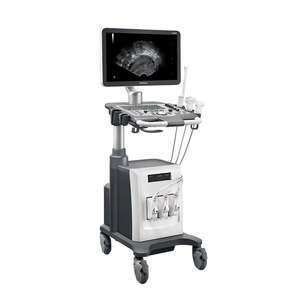 Échographe Doppler Couleur Mobile Mindray DC-26 3D/4D avec Sonde Cardiaque pour Usage Vétérinaire et Humain à Vendre - Product Image 1