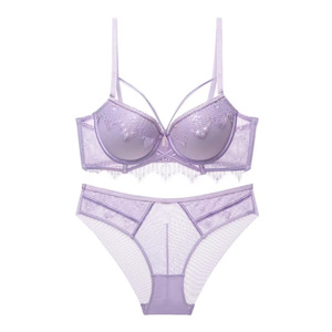 Sexy Gathered Steel <b>Ring</b> Embroidery <b>Thin</b> Lingerie Set Breathable Mesh Push-up Bra Brief Sets - Product Image 6