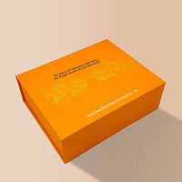 Coffret de poudres lyophilisées cosmétiques de luxe, écologique et recyclable, en carton en forme de livre avec fermeture magnétique à clapet pour
