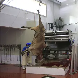 Garis pemotongan Bovine otomatis dengan mesin proses daging Abattoir daging sapi