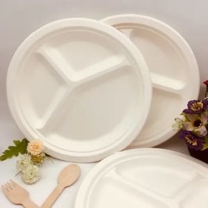 <span class=keywords><strong>Assiette</strong></span> <span class=keywords><strong>jetable</strong></span> biodégradable en bagasse de canne à sucre PT PACK 3 compartiments 9 pouces - Product Image 6