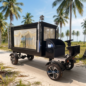 Carro Fúnebre de Lujo con Transporte Eléctrico Especial, Certificado CE DOT, Estructura de Acero Q235B - Product Image 1