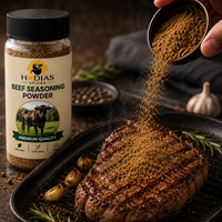 Poudre d'assaisonnement pour steak de bœuf séché mélangé de haute qualité en gros pour emballage personnalisé
