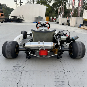 Kart de course professionnel à essence 4 temps de 7e génération, fabrication chinoise, pour l'extérieur, OEM ODM pour les concessionnaires - Product Image 6