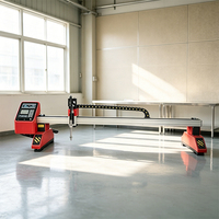 Machine de découpe plasma CNC à mini-portique à cycle rapide pour un traitement efficace à petite échelle