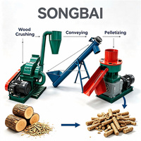 Nouvelle machine à granulés de bois biomasse à anneau compact 22KW 300-500kg/h pour la production de granulés de sciure de bois pour le chauffage agricole