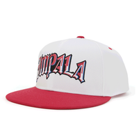 Topi Snapback Bordir Logo Kustom Grosir, Model Vintage Mewah, Pinggiran Datar, 6 Panel, Bahan Twill, untuk Pria, Topi Baseball Sporty Modis