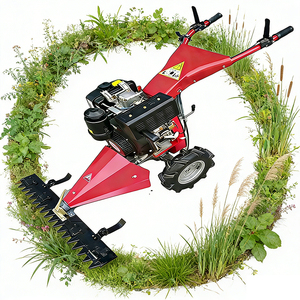 Tondeuse autoportée pour conteneurs, moteur diesel 247cc, largeur de coupe 80-120cm, hauteur réglable 1-8cm, livraison rapide pour les distributeurs - Product Image 1