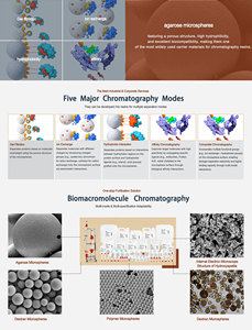 Microesferas rellenas de dextrano Shanghai SanYu TopGF, resina de agarosa para purificación por cromatografía de biomacromoléculas - Product Image 5