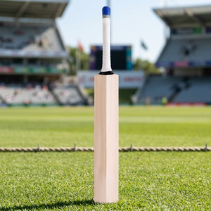 JNA Group Batte de cricket en bois écologique légère 2,6 lb durable pour les 8-12 ans Ambidextre - Product Image 5