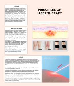 Máquina de Láser de Diodo de 980nm y 1470nm, Portátil, para Eliminación de Hongos en las Uñas, Arañas Vasculares, Vasos Sanguíneos, Lipólisis, Endoláser - Product Image 3