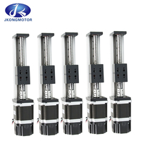 Haute précision 42 57 86mm Nema11 17 23 34 moteur pas à pas Double Guide vis à billes Module linéaire hybride CNC coulissant T