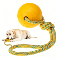 Balle d'entraînement pour chien durable avec logo personnalisé et grip, jouets à mâcher pour animaux de compagnie en gros pour l'obéissance et les mâcheurs agressifs