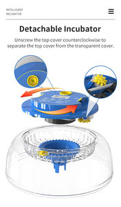 WONEGG <span class=keywords><strong>2026</strong></span> Novo Design Quail Duck Chicken Egg Incubadora Itália Quail Egg Incubadora Pequena - Product Image 5