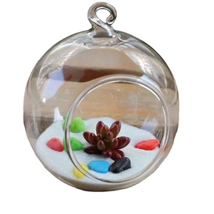 Goldfish Glass Ball Suspensão Ecosfera Aquário Fish Tank Flower Plant Vaso Mesa Bowl Fish Supplies Acessórios - Product Image 1