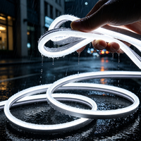 Bande LED néon flexible en silicone étroite, étanche IP65, 12V, intensité variable, CRI90, pour éclairage linéaire de signalétique et décoration d'armoires