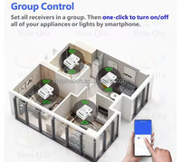 Ce module d'interrupteur intelligent Tuya Wifi DC AC 12v 24v 9v Rf 433mhz, télécommande sans fil, fonctionne avec Alexa Google