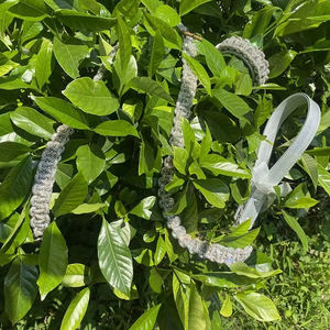 Venta al por mayor de diamantes de imitación de cuerda de cuero CRYSTAL BRAID <span class=keywords><strong>Pet</strong></span> LEASH SET <span class=keywords><strong>Collar</strong></span> de perro de lujo con hebilla de metal - Product Image 4