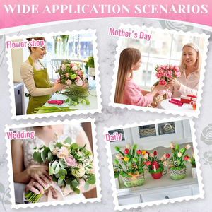 Removedor de Espinas Multiusos para Plantas, Construcción de Plástico para Limpiar Tallos, Ideal para Arreglos Florales - Product Image 2