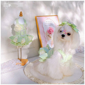 Wholesale Autumn and Winter Pet Warm Princess <strong>Skirt</strong> Fresh cat and Dog Clothing - Product Image 1