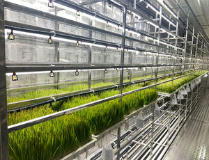 Lyine hydroponics thức ăn gia súc hệ thống dọc thủy canh vận chuyển container trang trại thức ăn gia súc phát triển hệ thống cho động vật nguồn cấp dữ liệu - Product Image 5