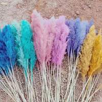 Bunga Kering Alami Buket Rumput Pampas Pink Termasuk Vas Dekorasi Rumah, Grosir untuk Hari Ibu, Natal, Paskah, Penjualan Panas