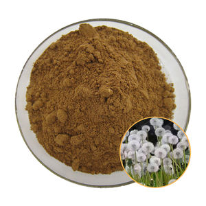 Pó solúvel em água do dente-de-leão 10:1 20:1 30:1 - Product Image 1